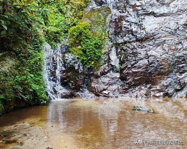 1.5h直达!藏在山野里的捡秋秘境,瀑布+挖宝双buff拉满!