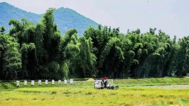 “香港赛马会”第六届中国（广州）从化户外休闲运动季即将开幕！