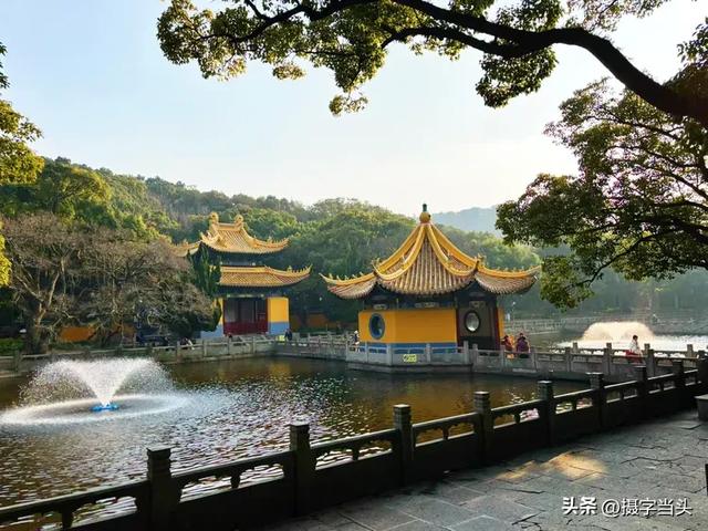 东海之滨——海天佛国普陀山