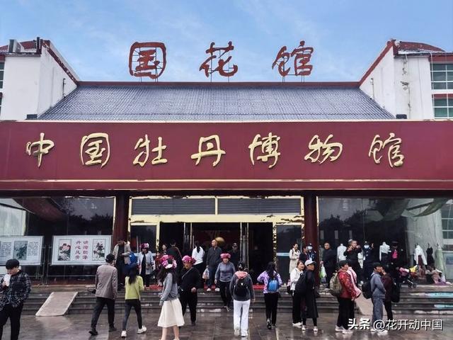 世界上最大牡丹园藏在中国 品种比你想象的多100倍