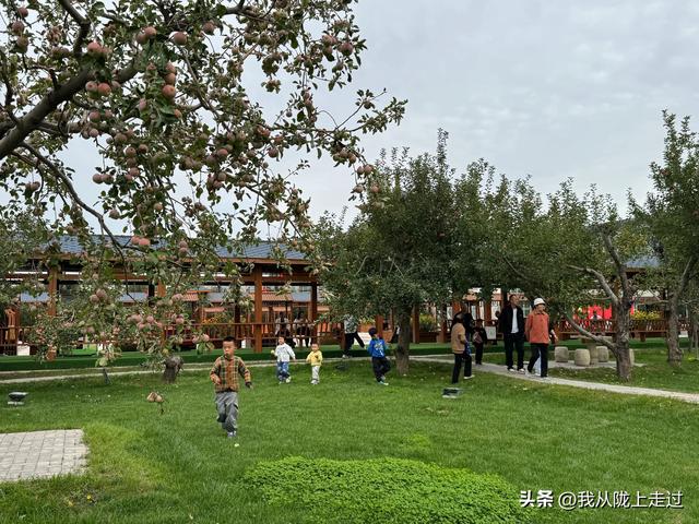 紧急提醒！靖远海洋动物嘉年华剩最后2天，这份游玩攻略请收好！