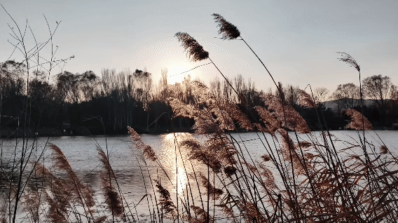 用电影的方式“打开”初冬！每一帧，都浪漫