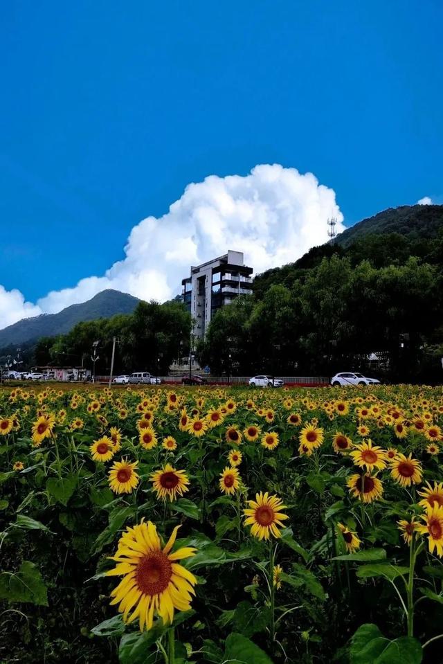 躲进秦岭古村，来佛坪过两天山野慢生活！