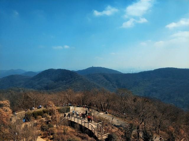 逃离都市热浪！南京老山森林公园超全攻略，承包你一日清凉与野趣