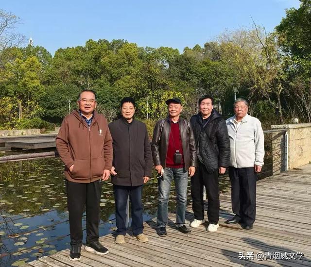 盘龙悠远银杏黄 水中学友情谊长