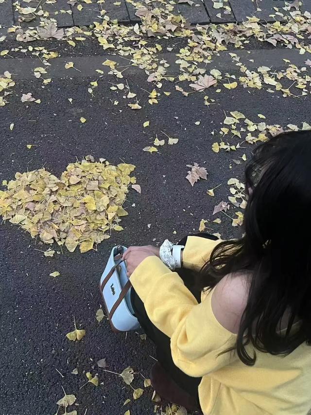 抬头！在寒冷的冬天再欣赏欣赏科院的秋吧