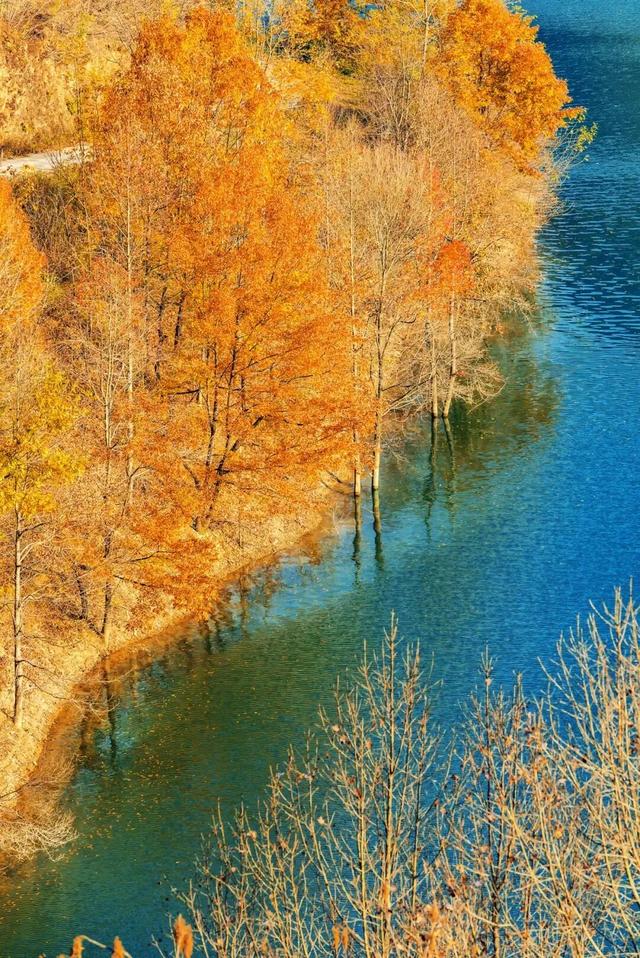 利州＝梦幻秋色打卡地