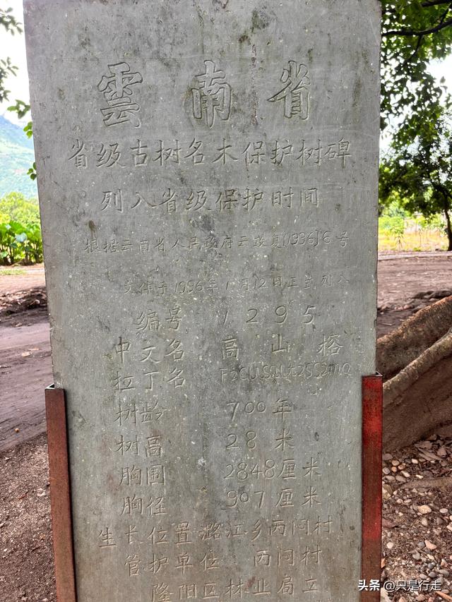 云南弥勒避暑旅游生活记录（二）腾冲