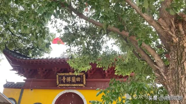 南昌黄马鹤林寺：托起一代画圣八大山人