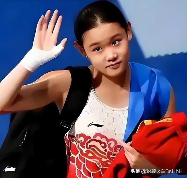 张家齐退役：鲜花着锦，烈火烹油，然后呢