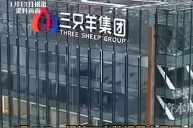 三只羊直播再创佳绩，销量逆袭背后为何引发如此强烈反响？图片