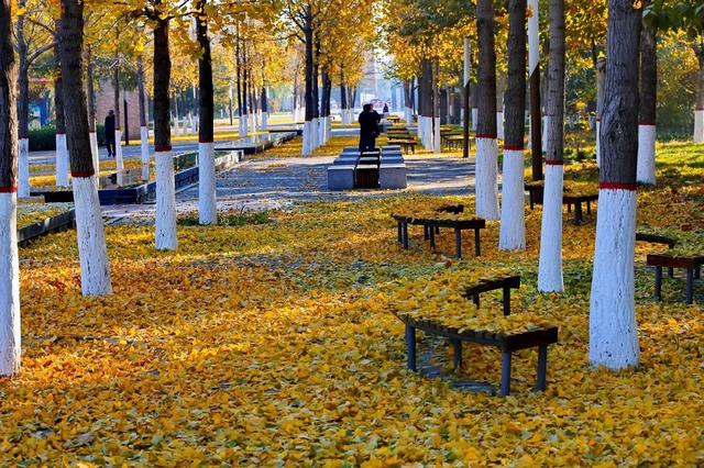 玉田县：京津1小时直达，千年古县藏着北方最惊艳的山水画卷！