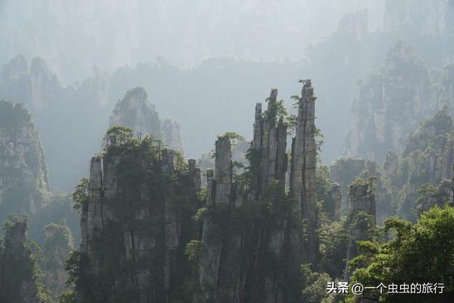 悬浮山实景！张家界天子山，阿凡达导演看了都直呼内行！