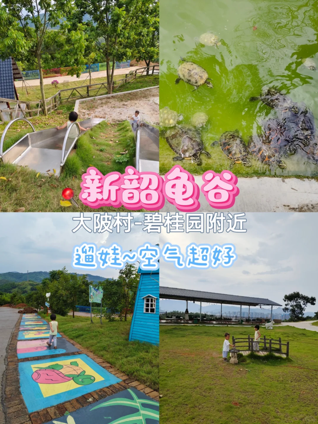 挖到韶关4个宝藏游玩地🤩！打卡夜市、体验非遗、带娃放电，好玩又好逛～🥂