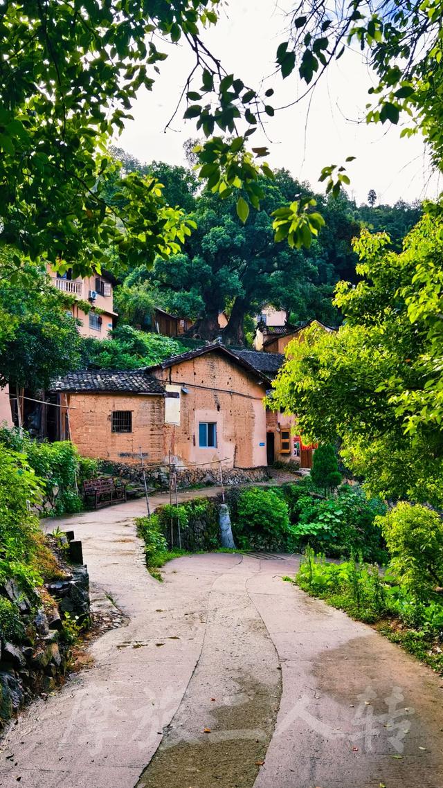 皖浙摩旅二人转——松阳杨家堂篇（下）