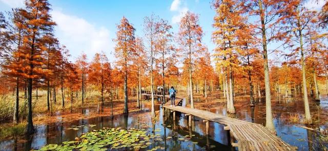 高铁1h！比西安秀美！这座千年古都秋色绝了！高光仅20天！