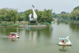 太阳岛，好久不见图片