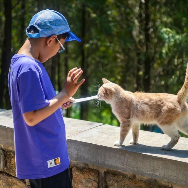 紧急安利！躲进山涧民宿，听泉玩水吃免费大锅菜，济南这些地方藏着满分夏天~