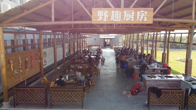 你不知道的九棵松——藏在蕲春的生态秘境
