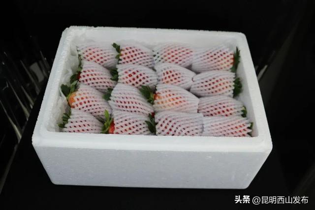 西华草莓熟了，赶紧来采摘吧！