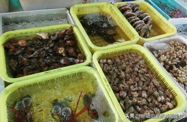 佛山高明小众宝藏渔村！初冬正确打开方式：吹西江风、吃现捞河鲜