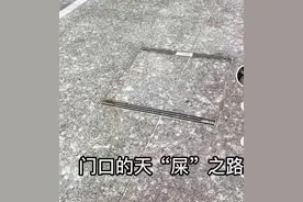 郑州夜鹭栖树形成扰民的“天屎之路”，城管：无法砍树或驱鸟，只能剪枝图片