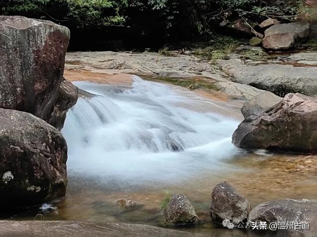 温州这个以畲族始祖命名的4A级景区，秘藏着一座“生物王国”！