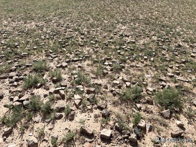 2025年国庆包头市达茂联合旗境内访古记