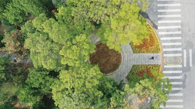 瞰盘锦｜盘锦之秋系列报道——兴隆台：晚秋登场，邂逅绚烂