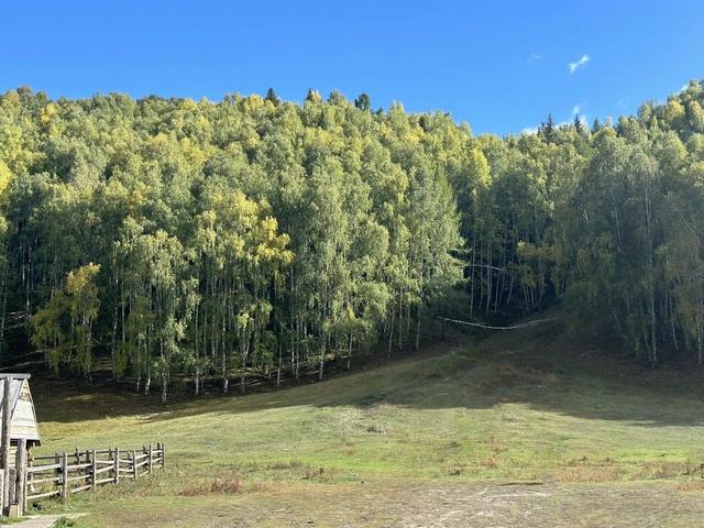 五彩斑斓喀纳斯