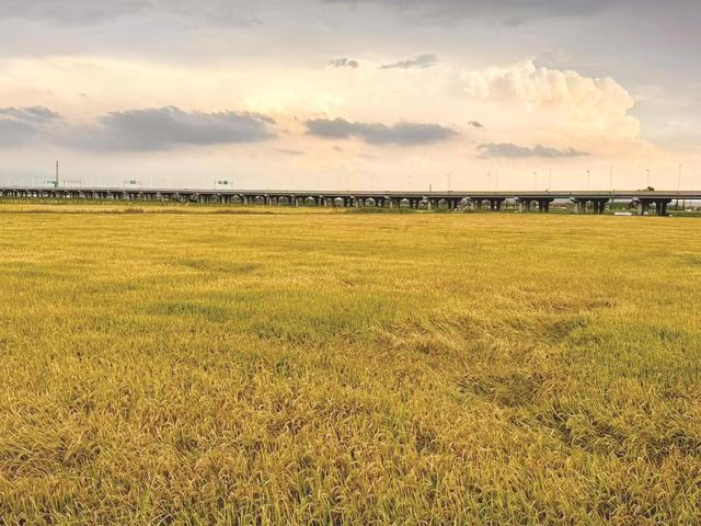 悠游天下丨银川骑行者的别样“风景线” 在贺兰山与黄河之间，骑出一片天地