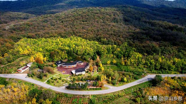 京山虎爪山赏秋：来得迟，景正好