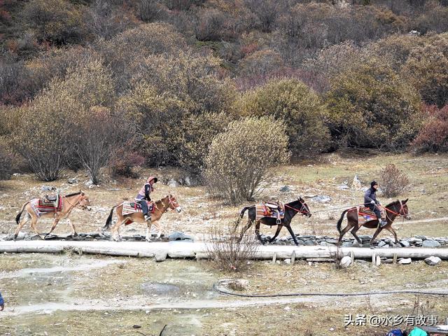 川西自驾，稻城亚丁