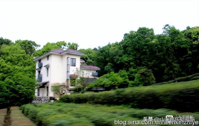 杭州324路公交车沿途风光（皖浙沪旅游122）
