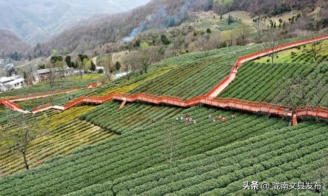 舌尖上的“文县”余味悠长