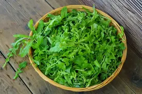 这3个野菜全身都是宝，疏肝健脾、补气养血，现在吃刚好！图片