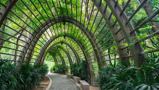 藏在市中心的莫奈花园，不仅能观赏绝美水杉，还能露营溜娃拍照