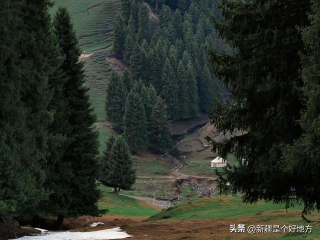 秋风起，我在塔城等你