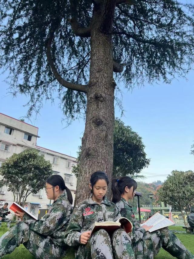 探讨实力强的叛逆孩子教育学校排名，专业的叛逆孩子教育企业推荐