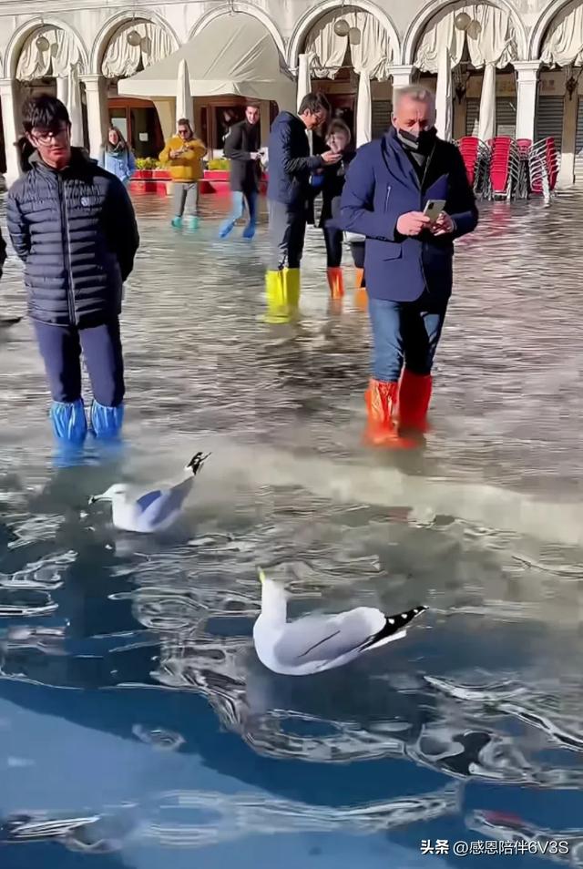 水上奇迹威尼斯：世界上唯一没有汽车的城市