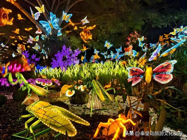 夜游地+1！秦皇岛千灯之夜璀璨启幕，游玩攻略看这里！