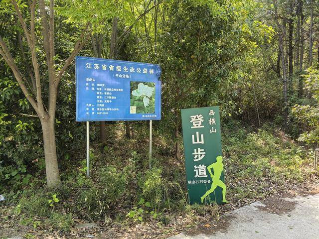 南京江宁四径山一日郊野徒步