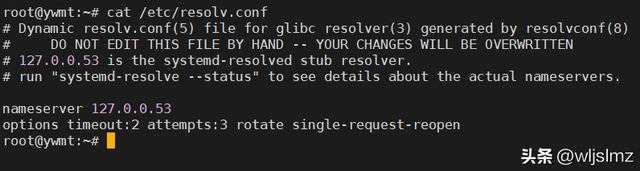 如何在 Linux 中检查 DNS 服务器 IP 地址？