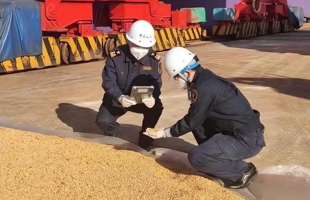 巴西大豆价格暴涨79.9%,中国买家按下暂停键,明年这笔钱还花这吗?
