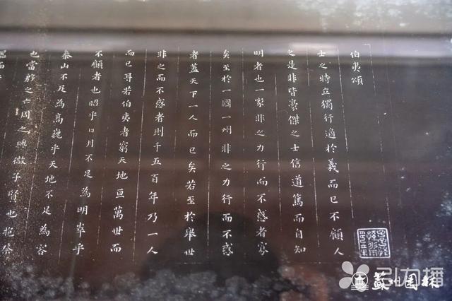 错过等一年！天平山红枫季进入收官倒计时