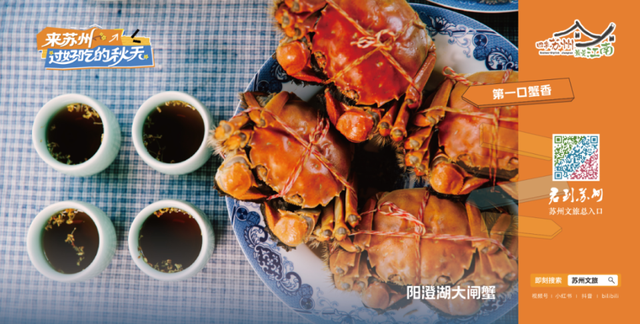 来苏州旅游，认准“君到苏州”文化旅游总入口！