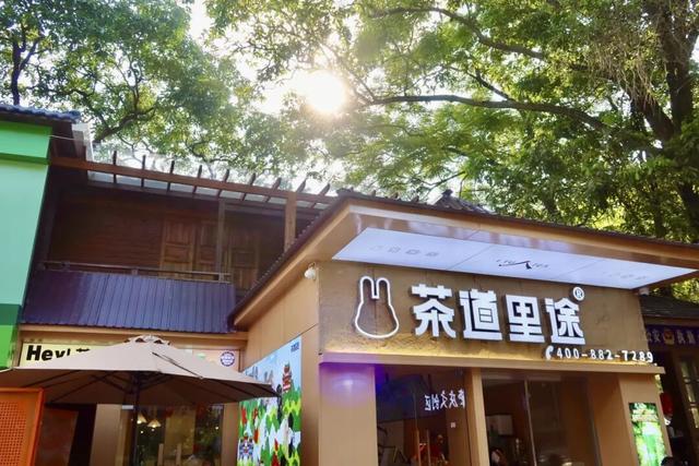 双节揽客38万+人次！肇庆文旅“实力圈粉”，暖心服务成最美风景线！