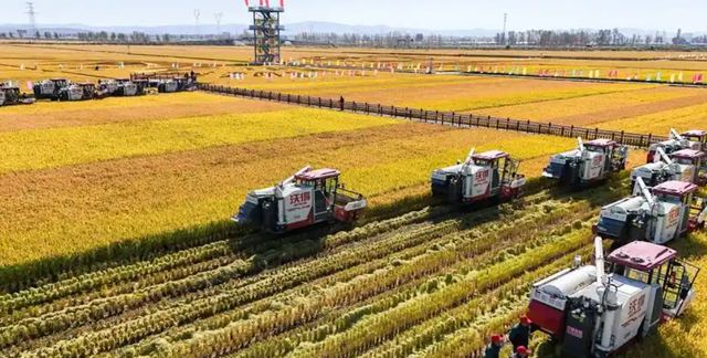 面积相当于8个上海，中国最大的省会城市，哈尔滨怎么来的？