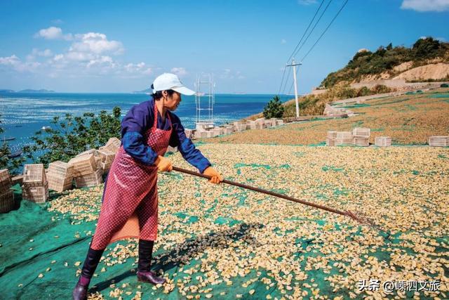 半升洞至嵊山岛开航时间12月15日起调整，小岛冬游快安排。