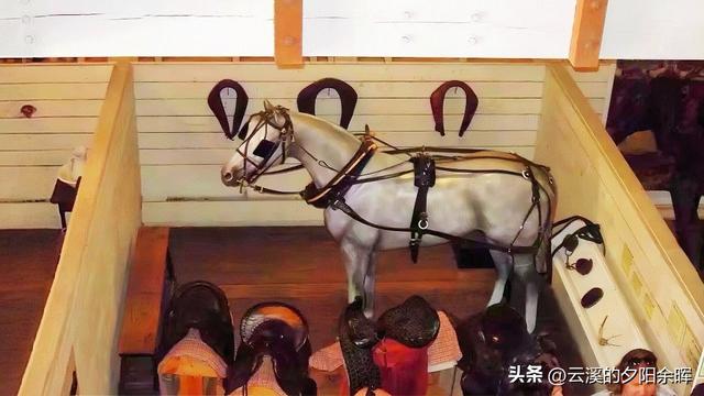 美国东西海岸游（七）——海风与时光交织的圣地亚哥一日游